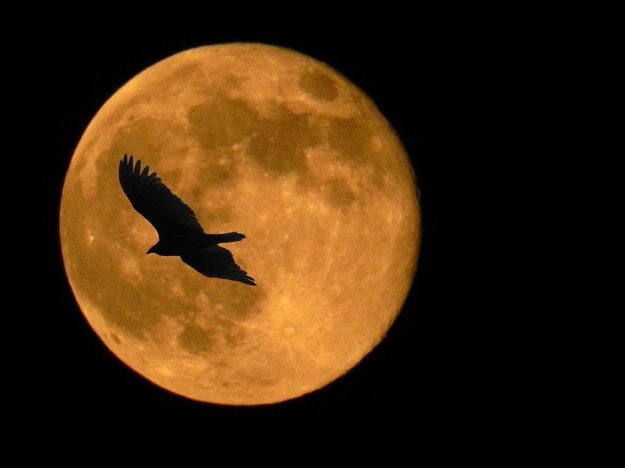 What is the Spiritual Meaning of a Supermoon? Spirit Restoration