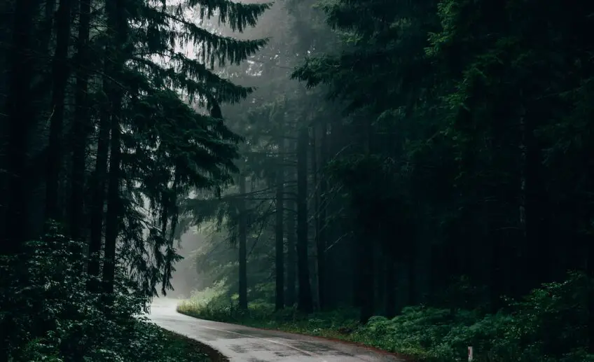 What Does Rain Mean Spiritually Spirit Restoration